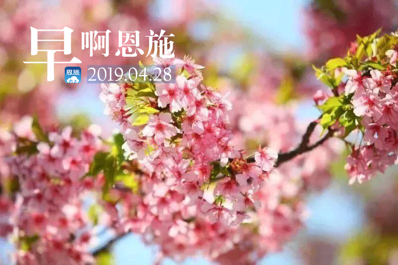 早啊！恩施（2019.04.28）