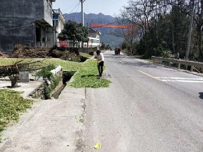 鹤峰公路：公路不是晒场 严禁占道晒物