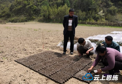 点“菜”成“金”奔富路