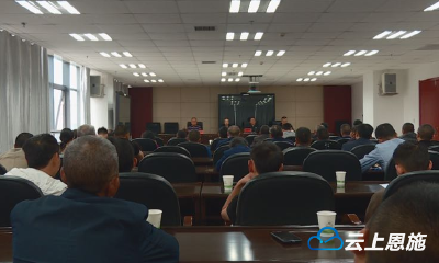 来凤藤茶产业协会正式成立