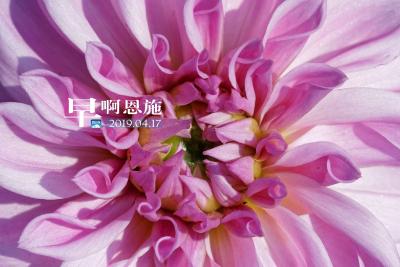 早啊！恩施（2019.04.17）