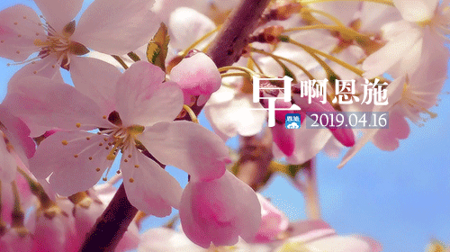 早啊！恩施（2019.04.16）