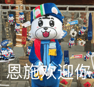 恩施“吉祥物”萌位出道！“王老虎”惹众多网红争相打卡