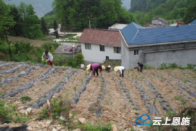 扶贫故事丨建始高燎村的蝶变