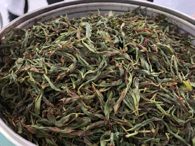 神农单枞开始生产 巴东茶叶增加新品牌