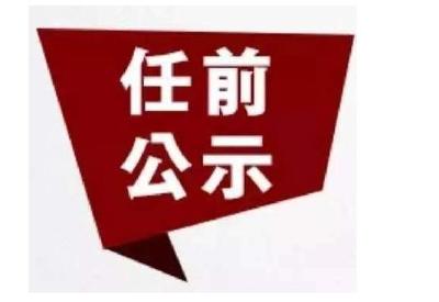 湖北2市3名干部任前公示：含区长人选等