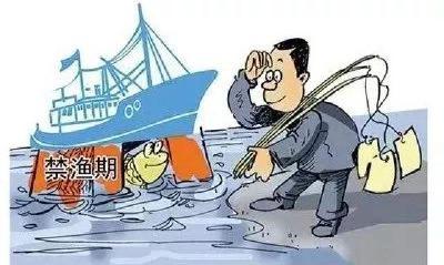 巴东抓获3名非法电捕鱼人员，现已采取刑事拘留