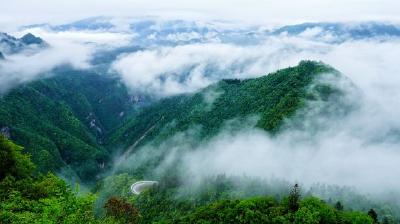 鹤峰：山与云共舞 情系望乡台