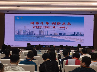 首届中国茶产业T20峰会 鹤峰作为唯一一个政府参加重点介绍有机茶发展经验