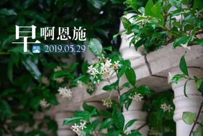 早啊！恩施（2019.05.29）