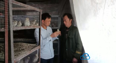 宣恩有志青年丁小平：山鸡产业助他铺就脱贫路