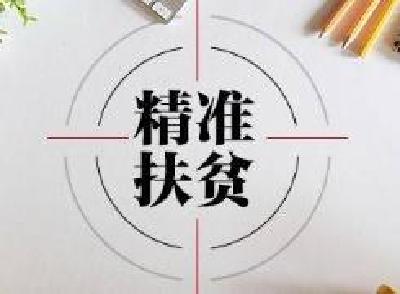 湖北省对16个精准扶贫项目开展监督检查