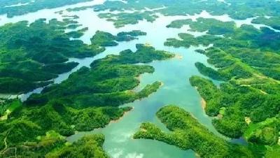 喜讯！湖北4个“国字号”森林公园规划获批！未来将这样建……