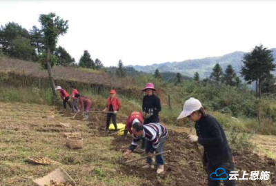 这个建始人给朋友送礼物时捕捉到商机，一年获利30多万元