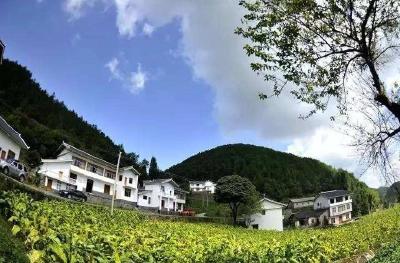 光明日报长篇报道盛赞恩施州龙凤镇“三好”