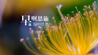 早啊！恩施（2019.05.20）