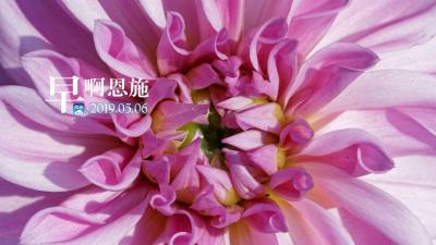 早啊！恩施（2019.05.06）