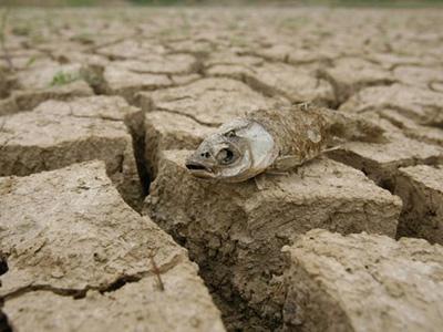 我国部分地区出现严重干旱 专家：降水异常偏少