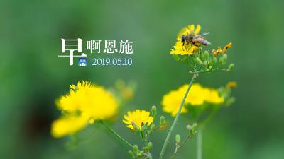 早啊！恩施（2019.05.10）