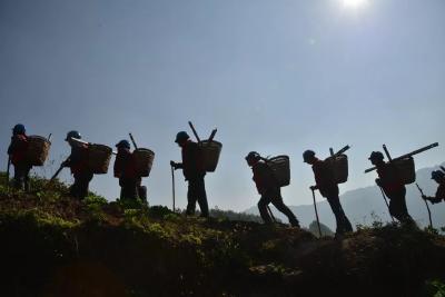 这家央企，架起党和各族乡亲的电力连心桥