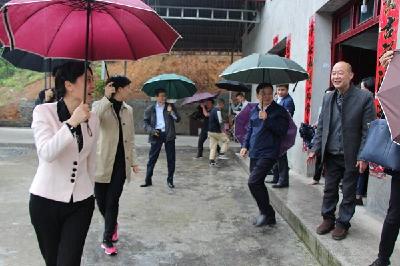雨中调研——张家村来了位女省长