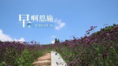 早啊！恩施（2019.05.16）