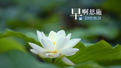 早啊！恩施（2019.06.21）