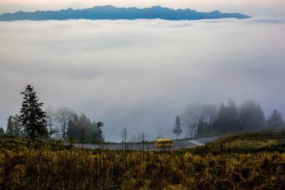恩施市开展城区客运市场执法检查夜检行动