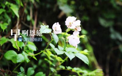 早啊！恩施（2019.06.03）