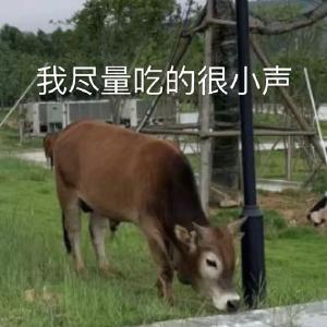 学生嫌除草机吵，于是这所大学改……放牛？