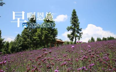 早啊！恩施（2019.06.20）