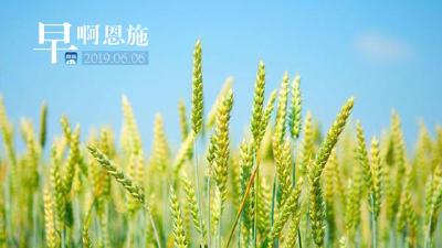 早啊！恩施（2019.06.06）