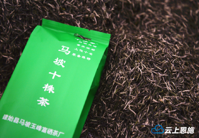 建始王氏三姊妹，比劲带领贫困户发展茶叶致富