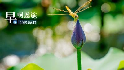 早啊！恩施（2019.06.13）