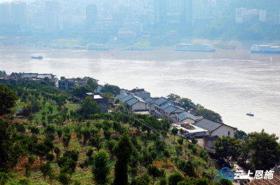 巴东东坡柑橘重生记：产业托起群众致富梦