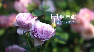 早啊！恩施（2019.06.28）