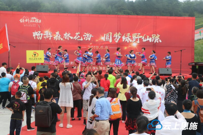 升级啦！改造后的野三关森林花海开园