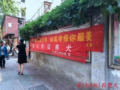 武汉出手！这些区域拟一律禁犬！