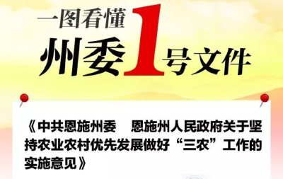 恩施州委州政府一号文件发布（图解）