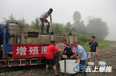 来凤酉水河增殖放流100万尾鱼苗