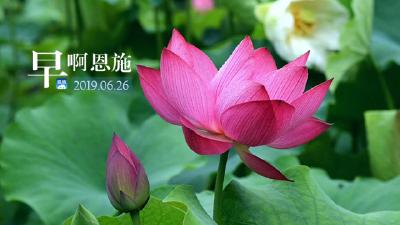 早啊！恩施（2019.06.26）