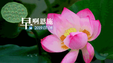 早啊！恩施（2019.07.08）