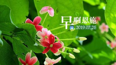 早啊！恩施（2019.07.26）