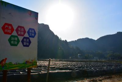 围绕扶贫抓党建 抓好党建促脱贫——恩施州供销社扶贫帮扶工作纪实
