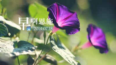 早啊！恩施（2019.07.18）