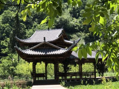板桥镇：法治长廊亮点纷呈