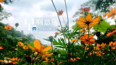早啊！恩施（2019.08.05）