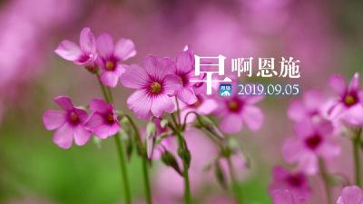 早啊！恩施（2019.09.05）