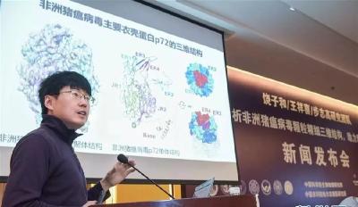 早啊！恩施（2019.10.19）
