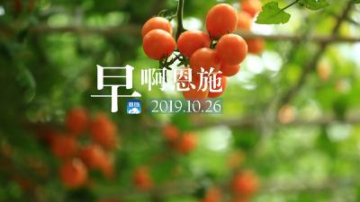 早啊！恩施（2019.10.26）